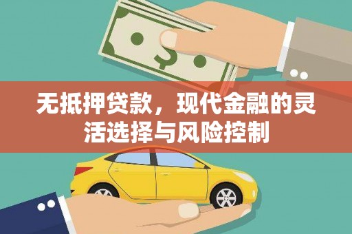 尤溪无抵押贷款，现代金融的灵活选择与风险控制