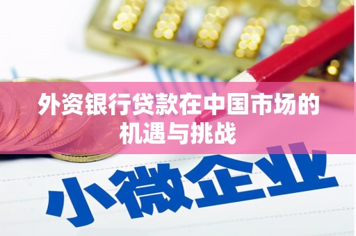 尤溪外资银行贷款在中国市场的机遇与挑战