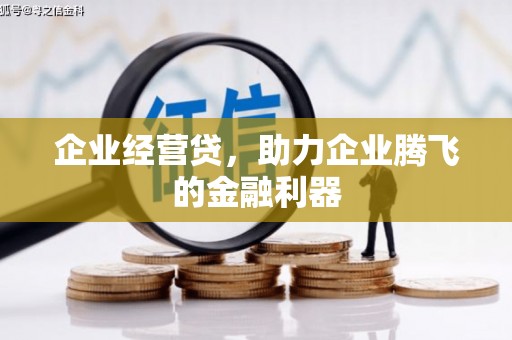 尤溪企业经营贷，助力企业腾飞的金融利器