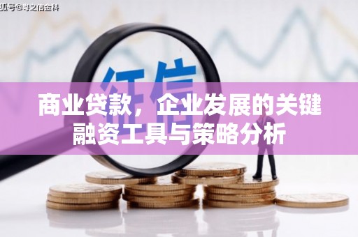 尤溪商业贷款，企业发展的关键融资工具与策略分析