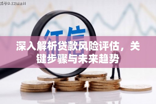 尤溪深入解析贷款风险评估，关键步骤与未来趋势