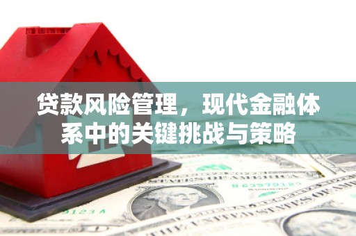 尤溪贷款风险管理，现代金融体系中的关键挑战与策略
