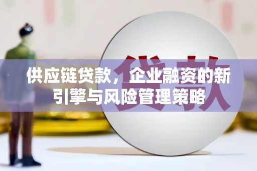 尤溪供应链贷款，企业融资的新引擎与风险管理策略