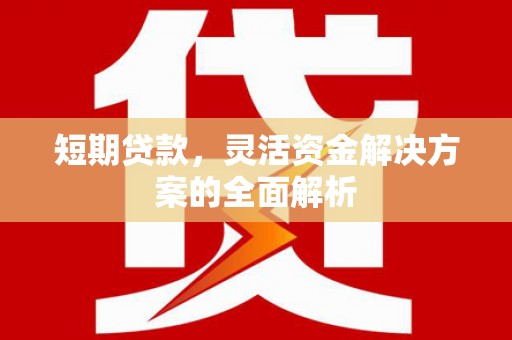 尤溪短期贷款，灵活资金解决方案的全面解析