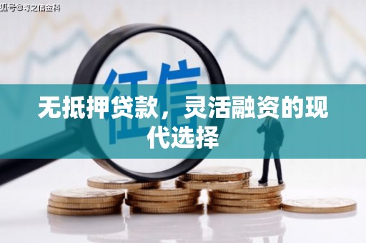尤溪无抵押贷款，灵活融资的现代选择