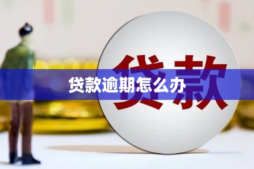 尤溪贷款逾期怎么办