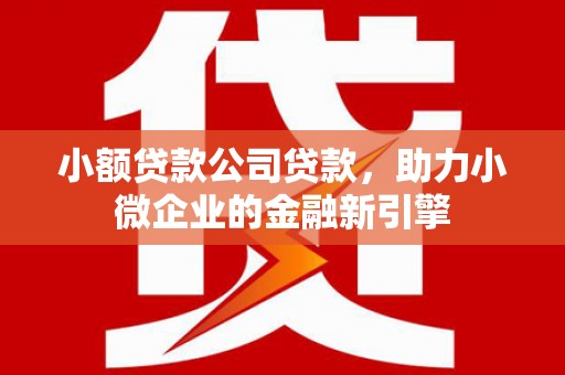 尤溪小额贷款公司贷款，助力小微企业的金融新引擎