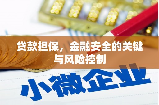 尤溪贷款担保，金融安全的关键与风险控制