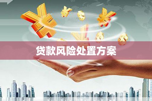 尤溪贷款风险处置方案